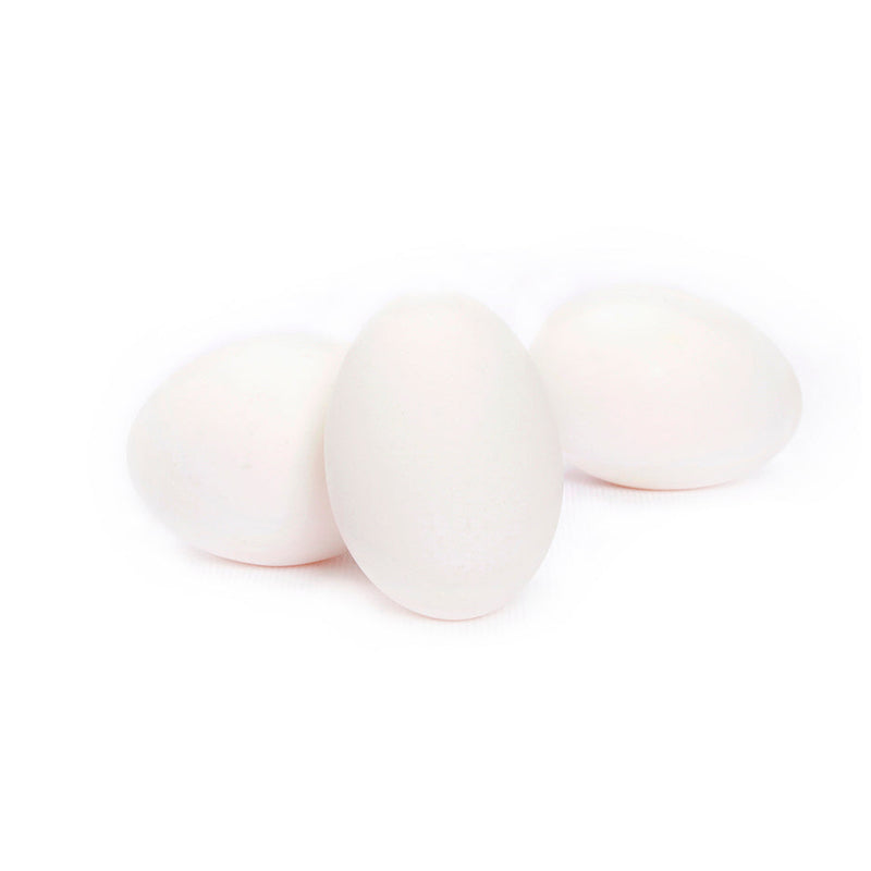 Individual White Egg | Nutri Eggs