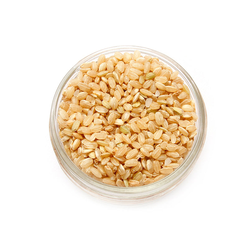 Organic Short Grain Brown Rice | Lundberg (1L)