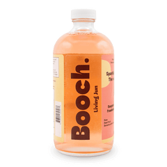 Sparkling Green Tea - Raspberry, Sage & Rose | Booch Kombucha
