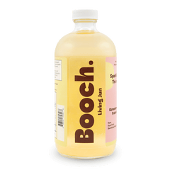 Sparkling Green Tea - Strawberry & Ashwagandha | Booch Kombucha