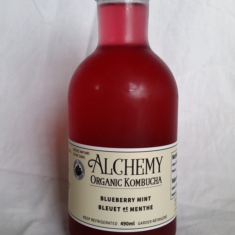 Blueberry Mint Kombucha | Alchemy