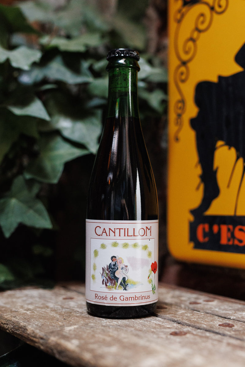 Rosé de Gambrinus | Brasserie Cantillon