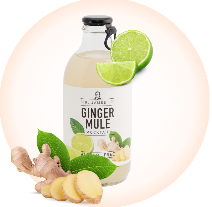 Alcohol Free Ginger Mule | Sir. James 101