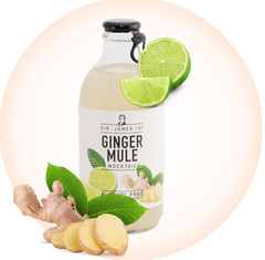 Alcohol Free Ginger Mule | Sir. James 101