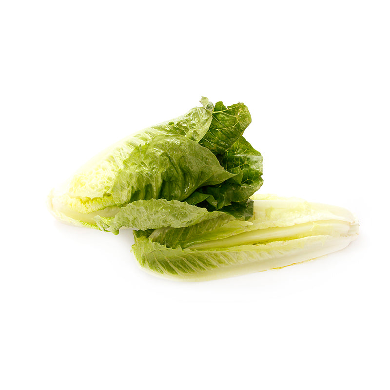 Organic Romaine Lettuce