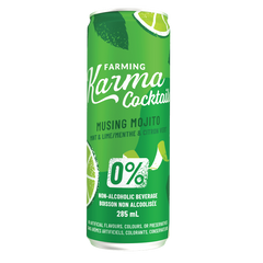 Musing Mojito - Mint and Lime (4 pack) | Farming Karma Fruit Co.