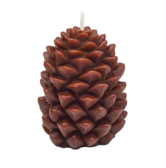 Ponderosa Pine Cone Candle | Honey Candles