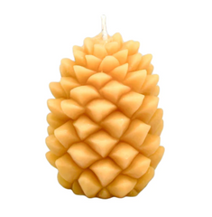 Ponderosa Pine Cone Candle | Honey Candles