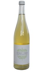 Sparkling Apple Cider | Spirit Tree