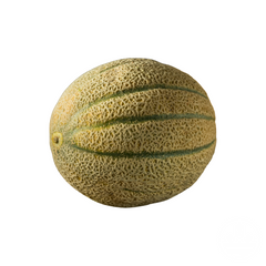 Tuscan Cantaloupe Melon