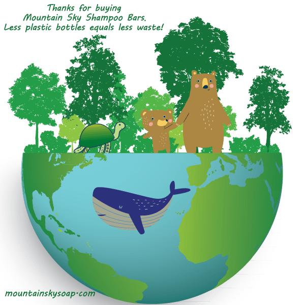 Apple Cider Hair Conditioner Bar | Mountain Sky