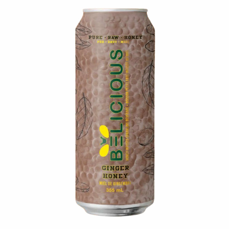 Sparkling Ginger Honey Beverage | Beelicious