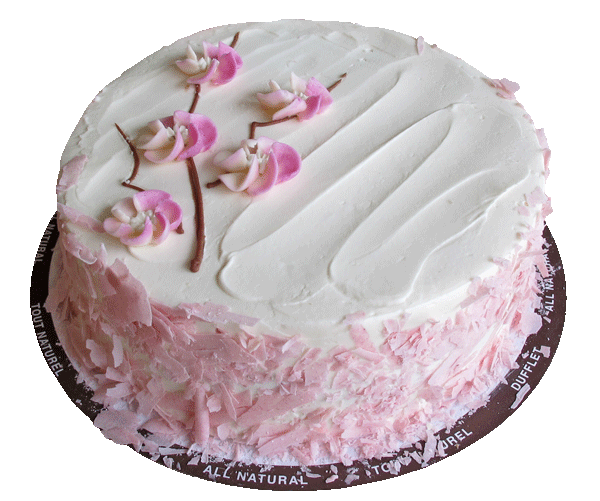 Vanilla Cherry Blossom Cake | Dufflet Pastries