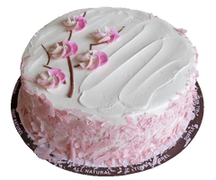 Vanilla Cherry Blossom Cake | Dufflet Pastries