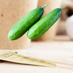 Green Slicing Cucumber Seeds | Matchbox Seed Co.