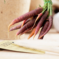 Scarlet Nantes Carrot Seeds | Matchbox Seed Co.