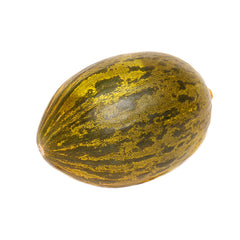 Piel de Sapo Melon