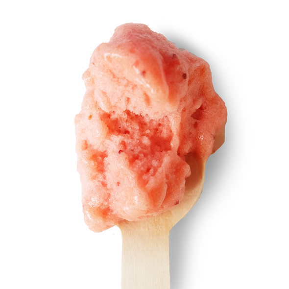 Roasted Strawberry & Rhubarb Sorbet | Four All Ice Cream