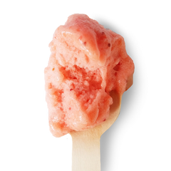Roasted Strawberry & Rhubarb Sorbet | Four All Ice Cream