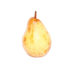 Rocha Pear