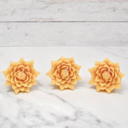 Floating Lotus Candles | Honey Candles
