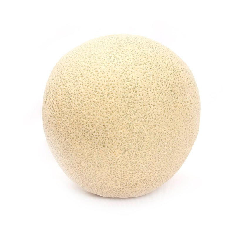 Cantaloupe Melon