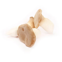 King Oyster Mushrooms (250g)