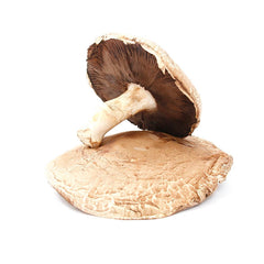 Portobello Mushroom