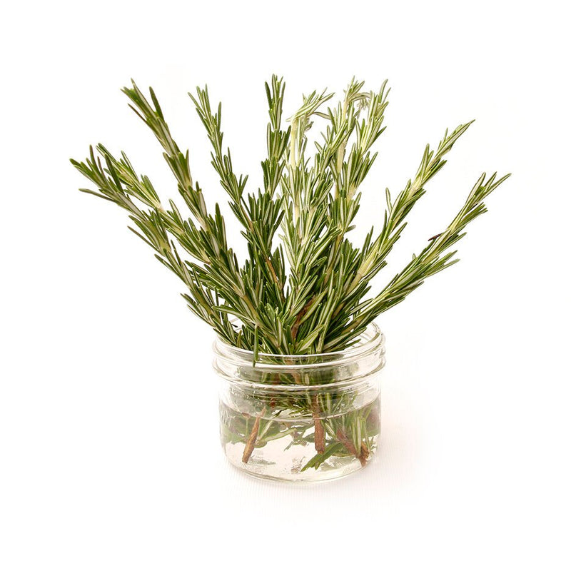 Rosemary